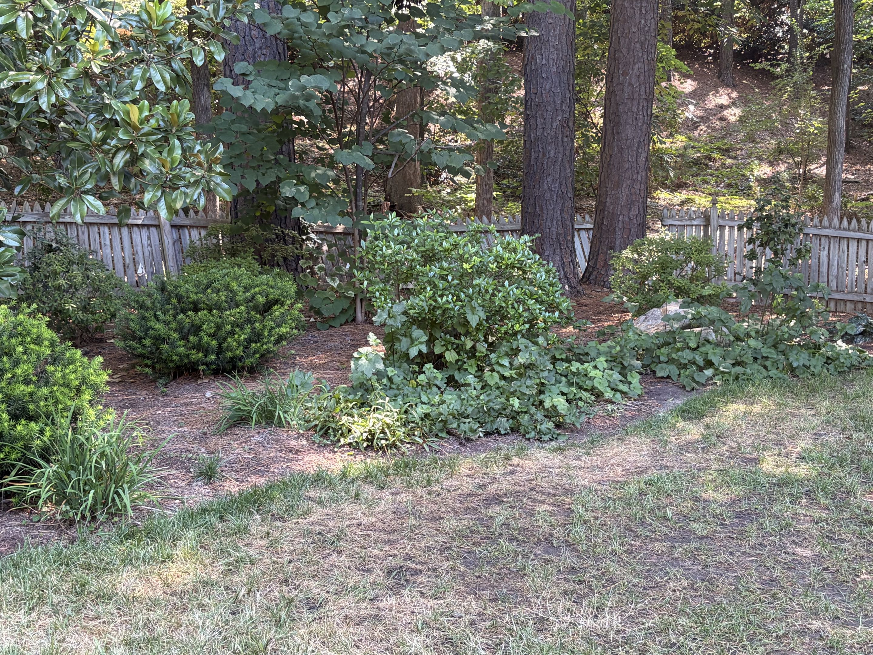 Durham, NC - Out with the old, in with the freedom! 🐾 Today we’re demoing an old fence to make way for an invisible fence—giving this pup room to roam safely without the look of a traditional fence. A cleaner yard, more freedom, and one happy dog! 🐶✨ #InvisibleFence #DogFreedom #YardTransformation #HappyDog