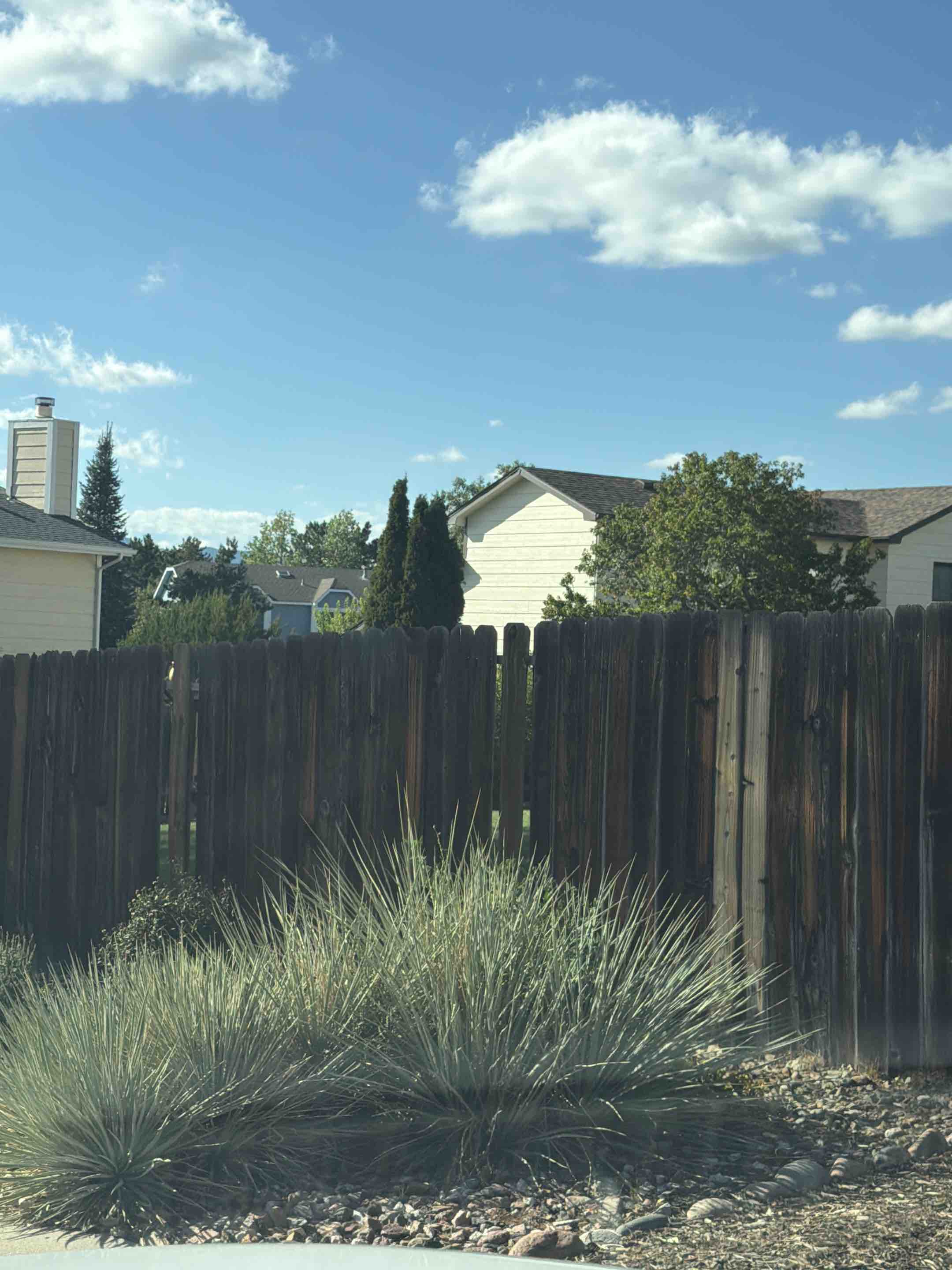 Colorado Springs, CO - Top Rail Fence is in Colorado Springs doing free estimates for Cedar Privacy Fences!