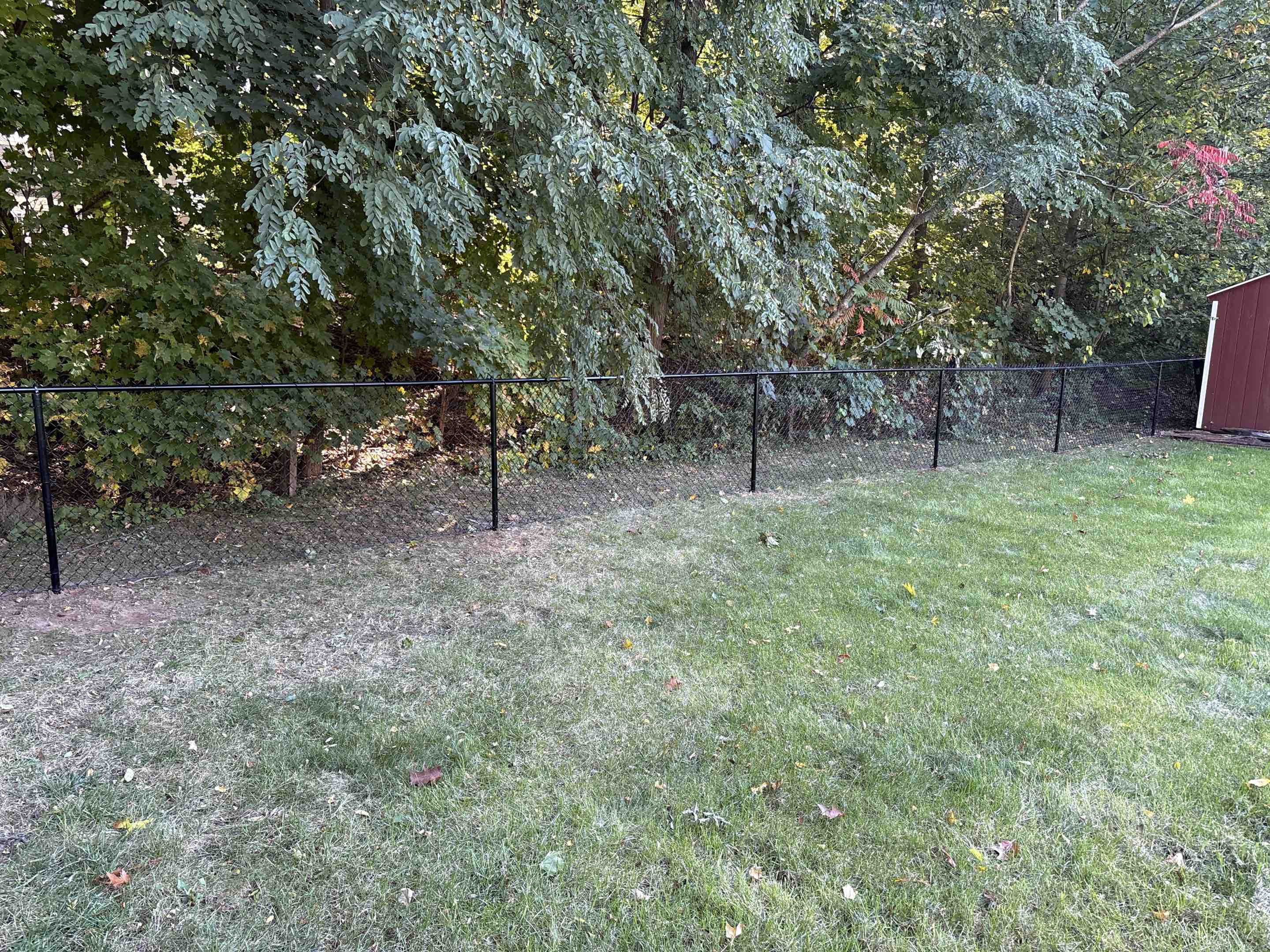 West Hartford, CT - Happy new homeowners. Now the dogs can run free!