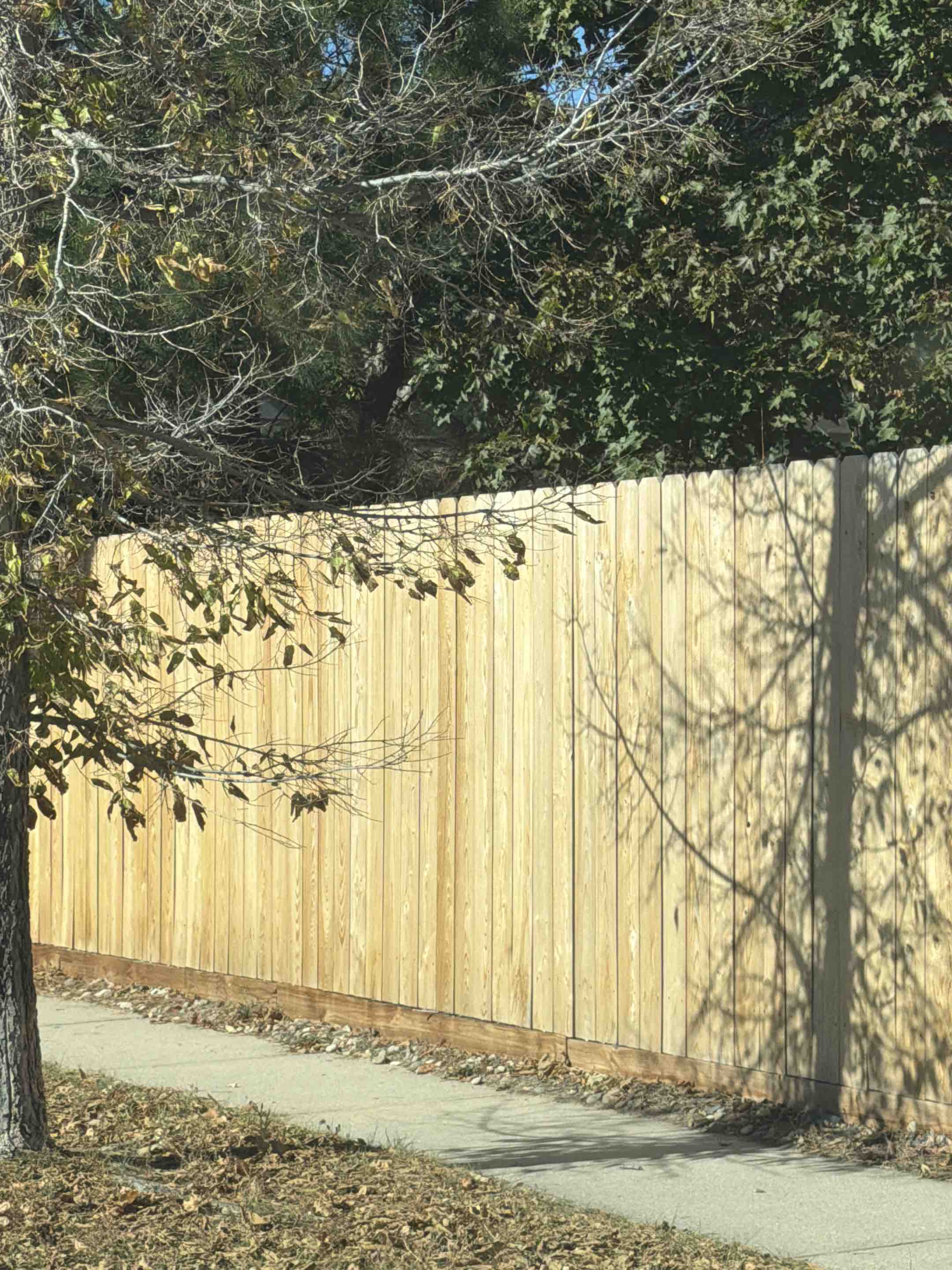 Colorado Springs, CO - Top Rail Fence is in Colorado Springs doing free estimates for Cedar Privacy Fences!