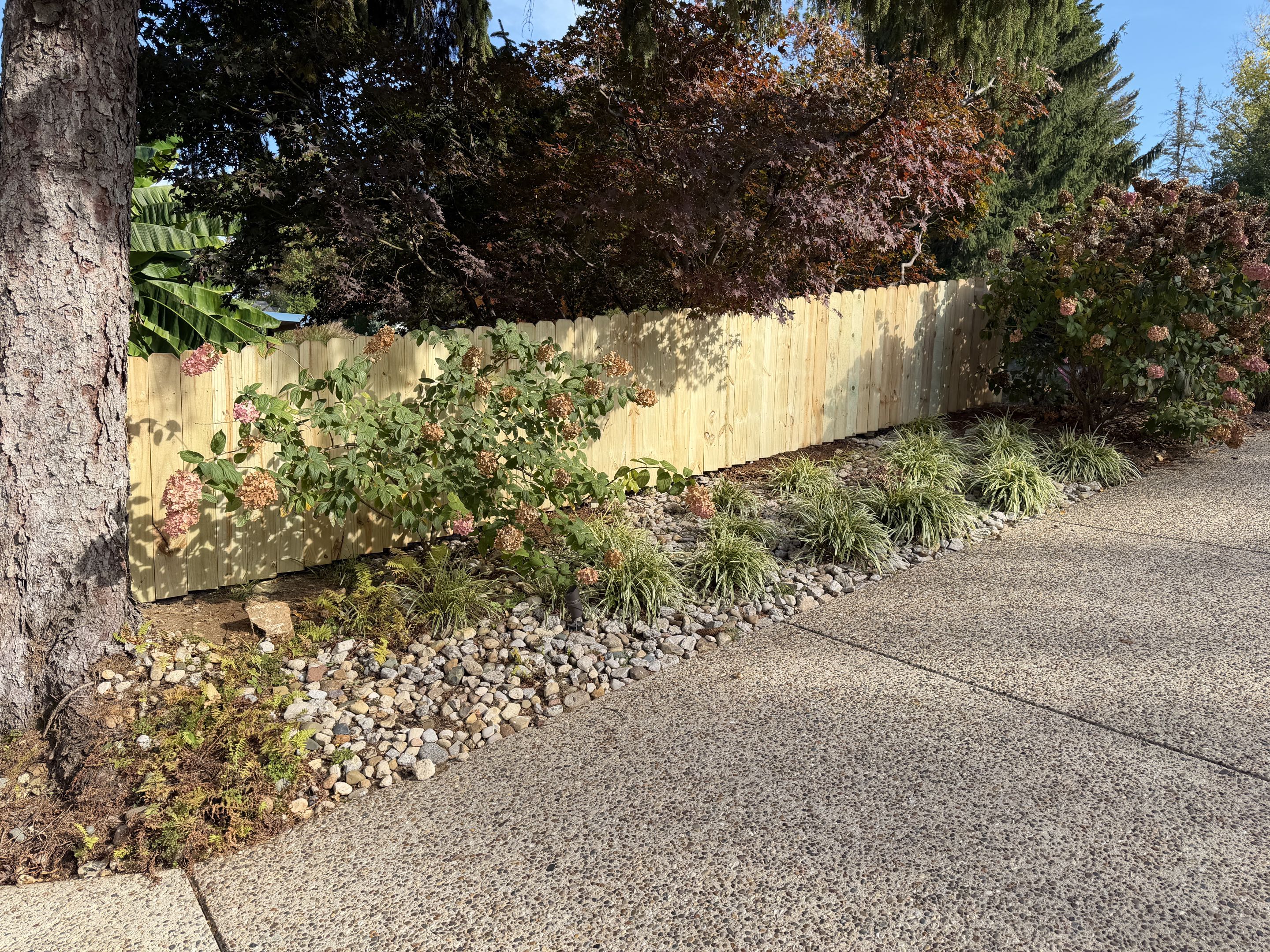 Louisville, KY - 4’ Tall Wood Privacy Fence in Cherokee Seneca 