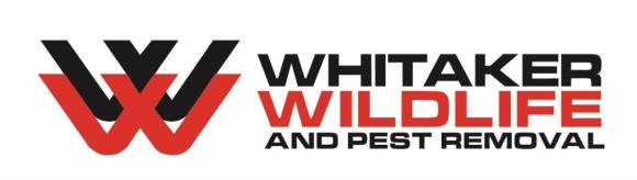 Whitaker W.