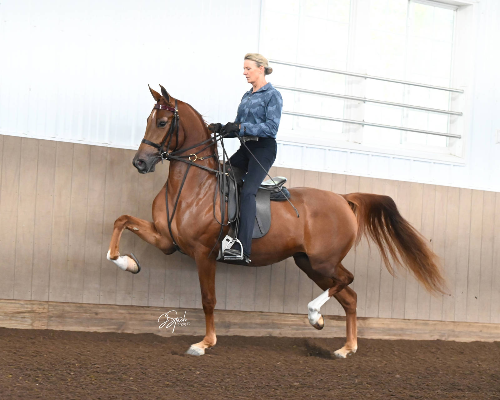 ARTISTIC IMPRESION SF