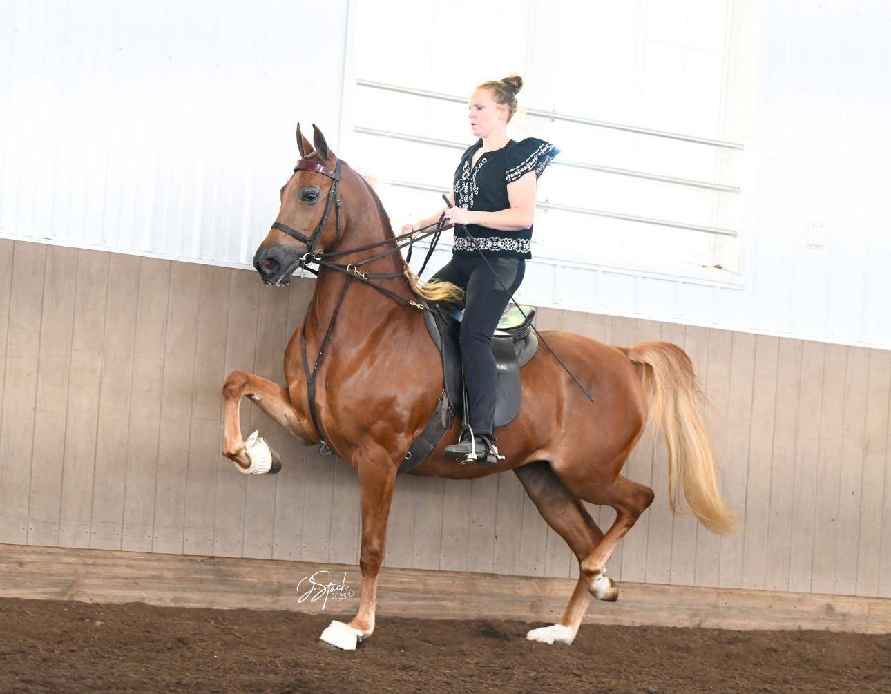 DAVINCI PERFCTION KP