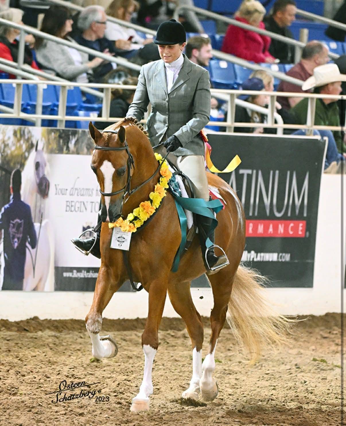 ATTRACTION INFRACTION WA