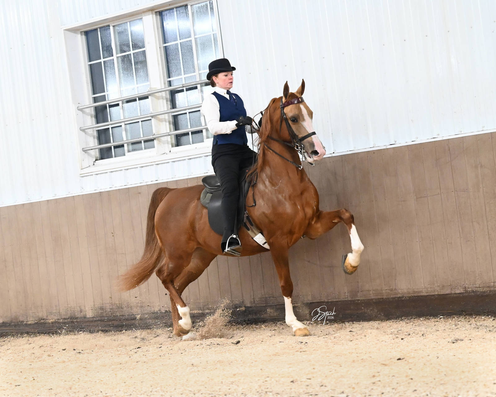 PARANORMALL ACTIVITY