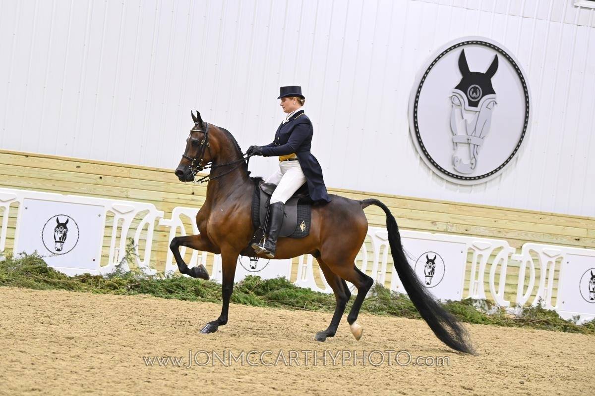 CL STEALNTHESPOTLIGHT