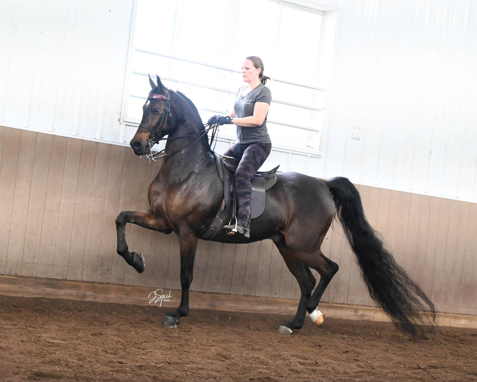 CL STEALNTHESPOTLIGHT