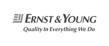 Ernst & Young LLC Ernst & Young LLC