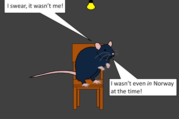 Black Death Facts, Symptoms and Treatment || Killed 75 Million People 1 Black death Facts, Symptoms and treatment