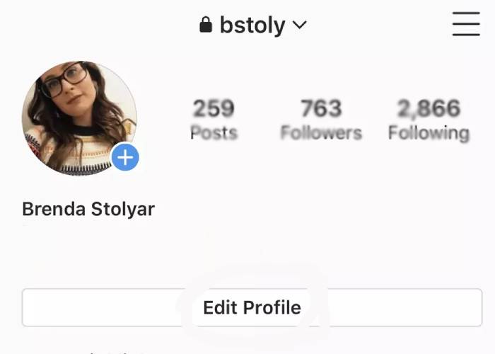 Instagram profile