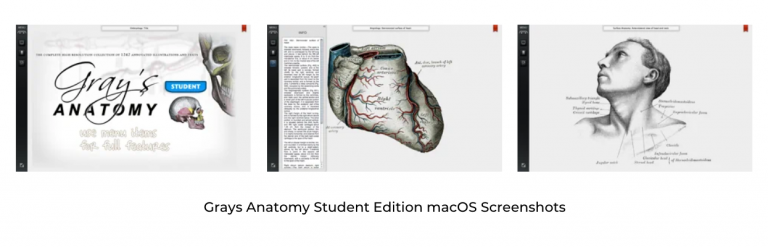 A List Of 50 Best Anatomy Apps For Medical Students (August 2026)