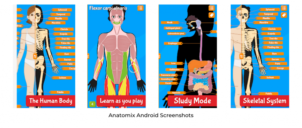 A List Of 50 Best Anatomy Apps For Medical Students (August 2026)