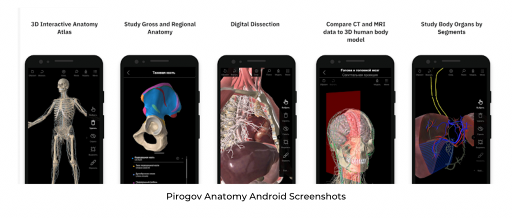 A List Of 50 Best Anatomy Apps For Medical Students (August 2026)