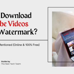 How To Download YouTube Videos Without Watermark