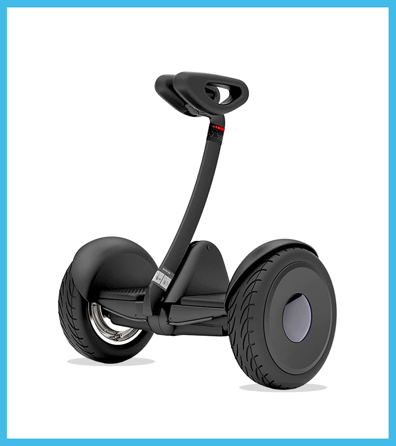 Segway Ninebot S Smart