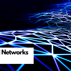 Everything You Need To Know About Liquid Neural Networks