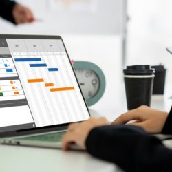 How Project Management Software Streamlines Team Collaboration