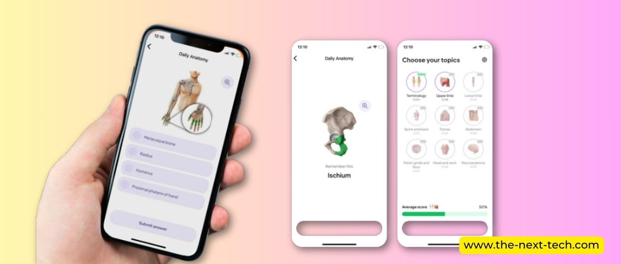 Daily Anatomy Flashcards