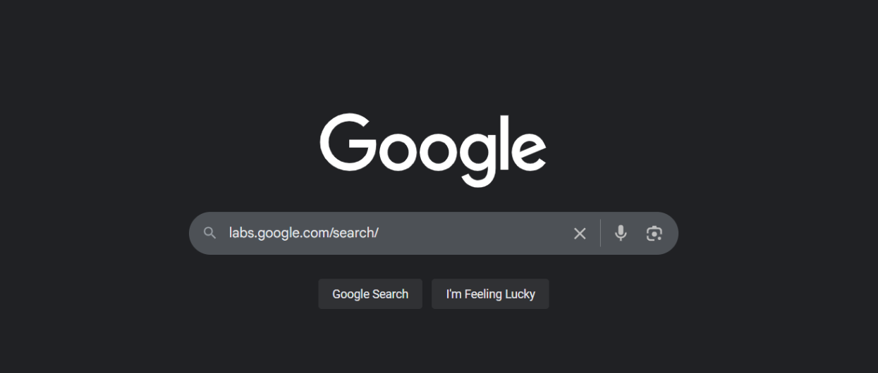 Go to labs.google.com_search