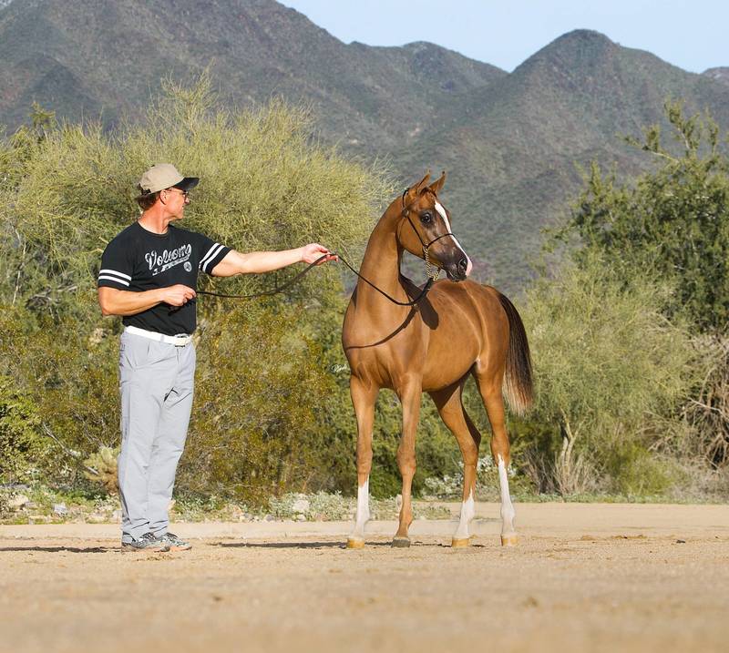 CJC EPIIC’s Valentine