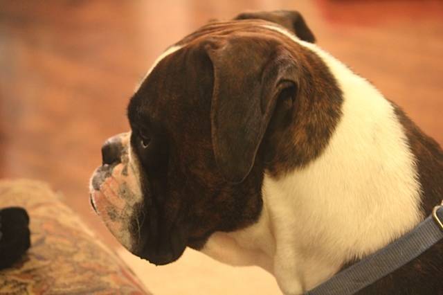 Sadie Kay LaVon Grace