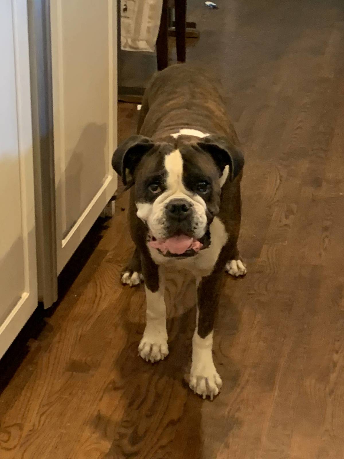 Sadie Kay LaVon Grace