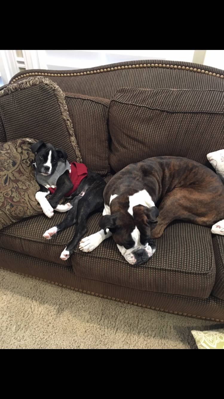 Sadie Kay LaVon Grace