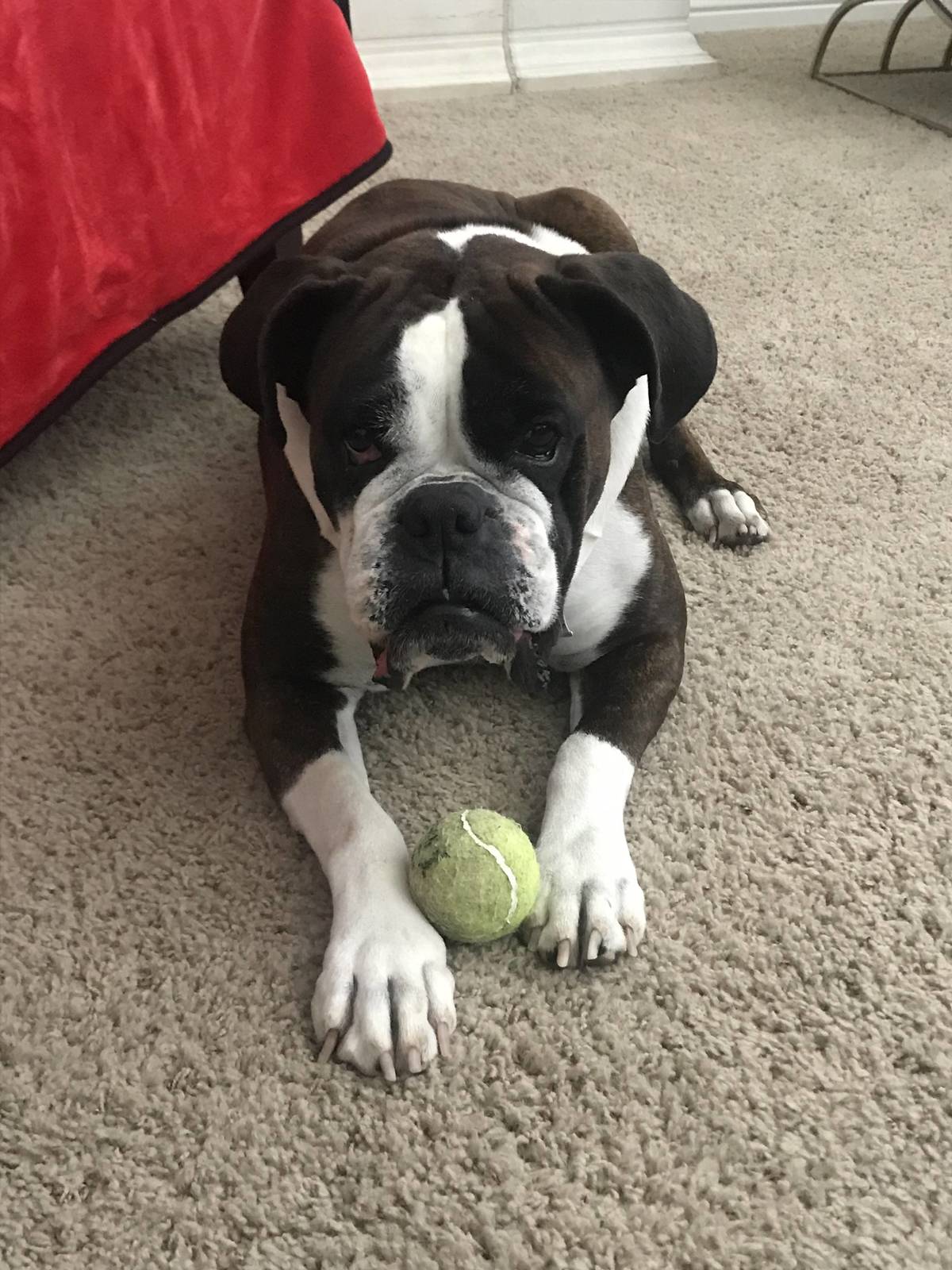 Sadie Kay LaVon Grace