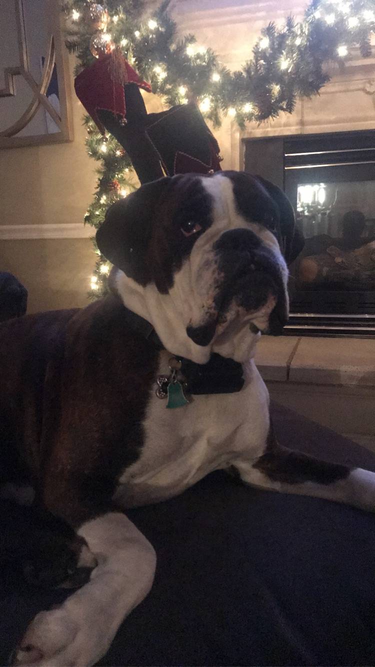 Sadie Kay LaVon Grace