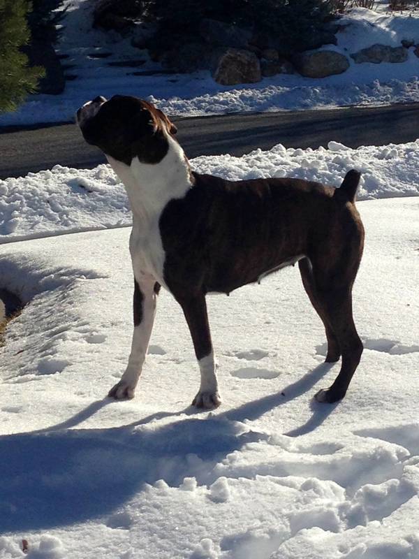 Sadie Kay LaVon Grace