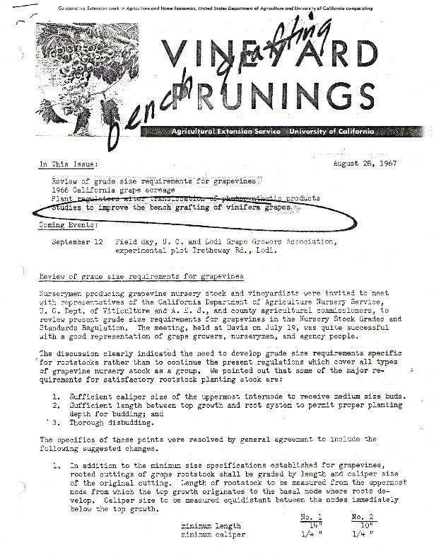 Vineyard prunings review of grade size requirements for grapevines