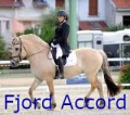 fjord accord
