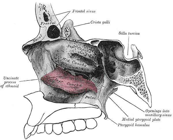 Estimulante Nasal