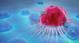 How Immunotherapy Can Fight Cancer