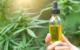 CBD: Cream, Tincture, or Oil?