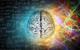 Effects of Creativity on the Brain