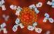 The Latest on Antibody Research