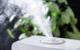 3 Ways to Clear the Lungs of Fluid