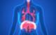 3 Ways to Strengthen Your Lungs