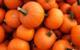 The Wonders of Pumpkin Seed Oil