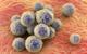 Treating MRSA With Bacterial Toxin