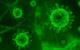 COVID Hope Despite Declining Antibodies