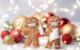 Avoid a Holiday Stomach Bug