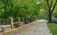 How Parks Add Years to Our Lives