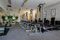 Patricia Welter Owner Personal Trainer In Palm Harbor Fl 34683