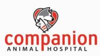 Companion Animal Hospital Mount Prospect