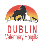 Dublin Veterinary Hospital