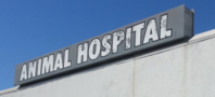 Animal Hospital