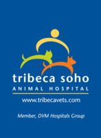 Tribeca Soho Animal Hospital